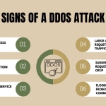 DDoS 攻击