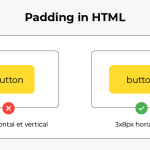 HTML 中的填充